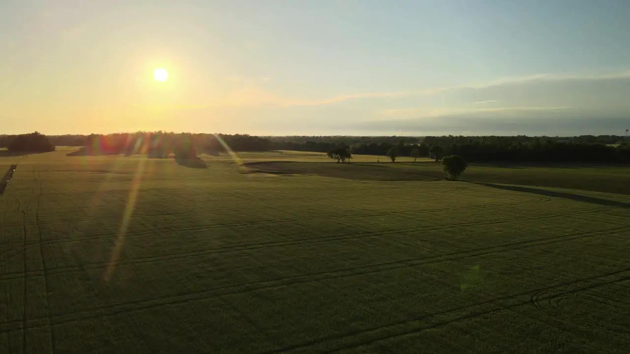 Flying through farmland crops during a beautiful sunset