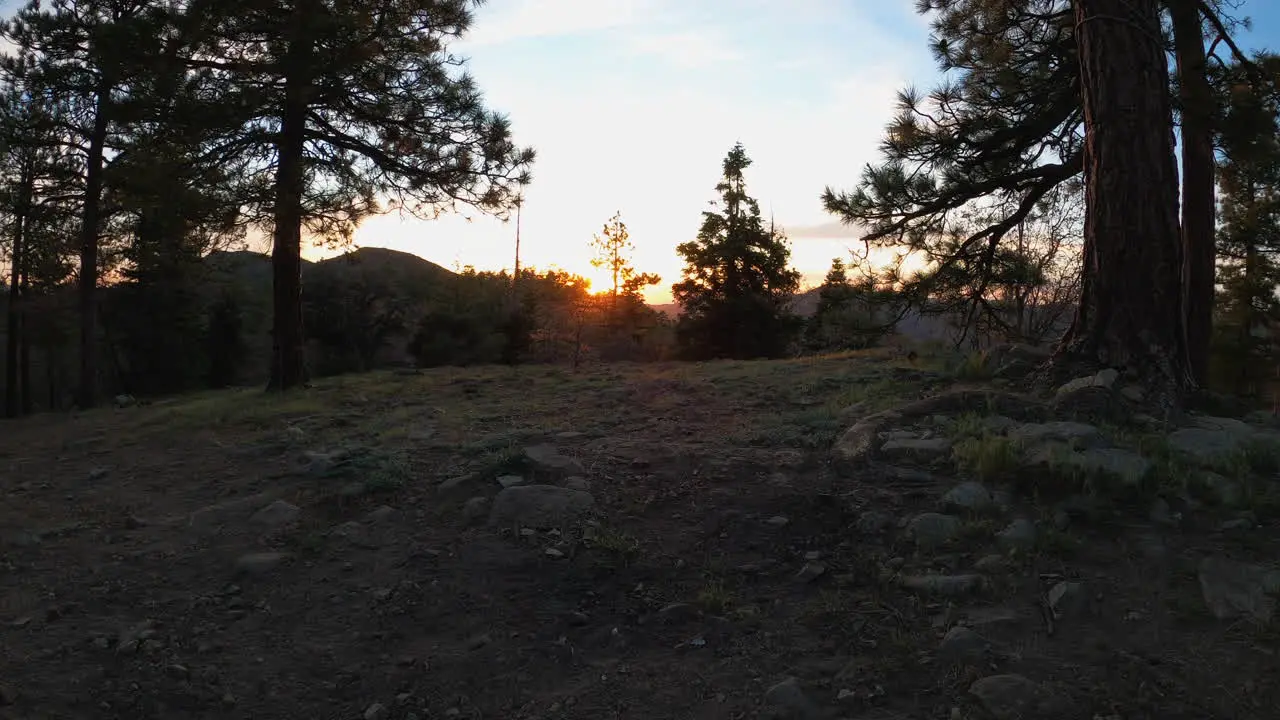 Sun dips under horizon in forest time lapse