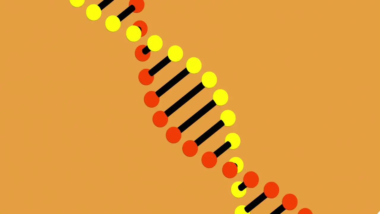 Animation of 3d dna strand on orange background