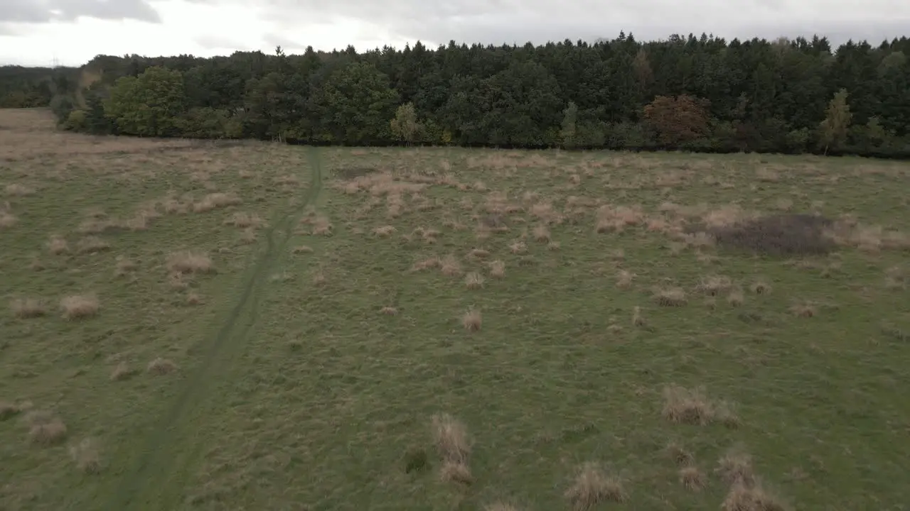 Aerial shot flying passed a person walking in an open field walking towards the dense woodland