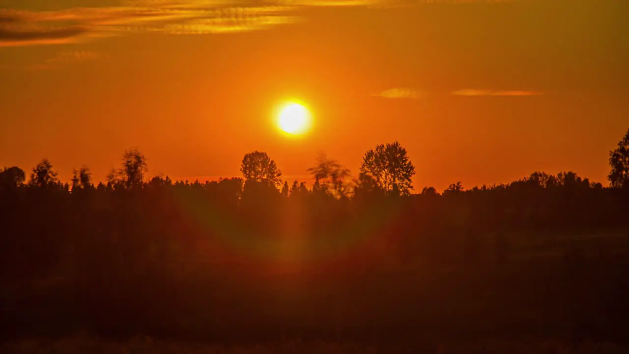 Timelapse shot of sun setting in timelapse over bright red sky over birch trees during evening time