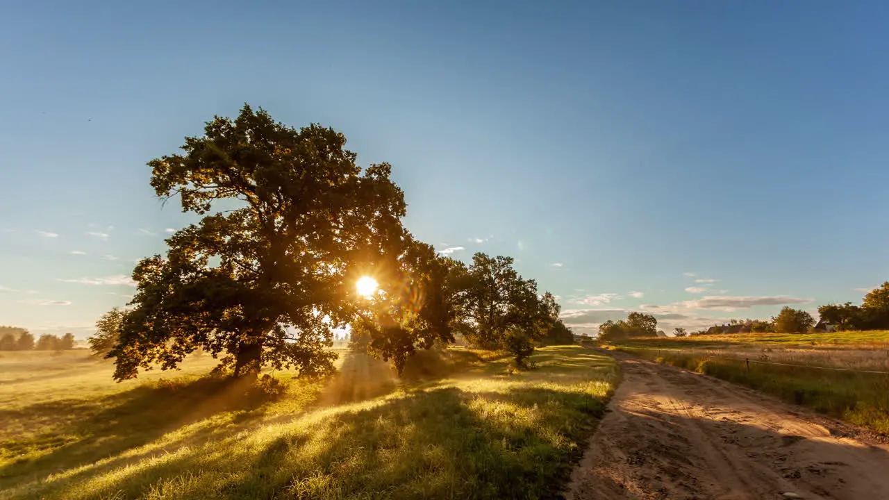 Timelapse of beautiful countryside sunrise near big tree and country road