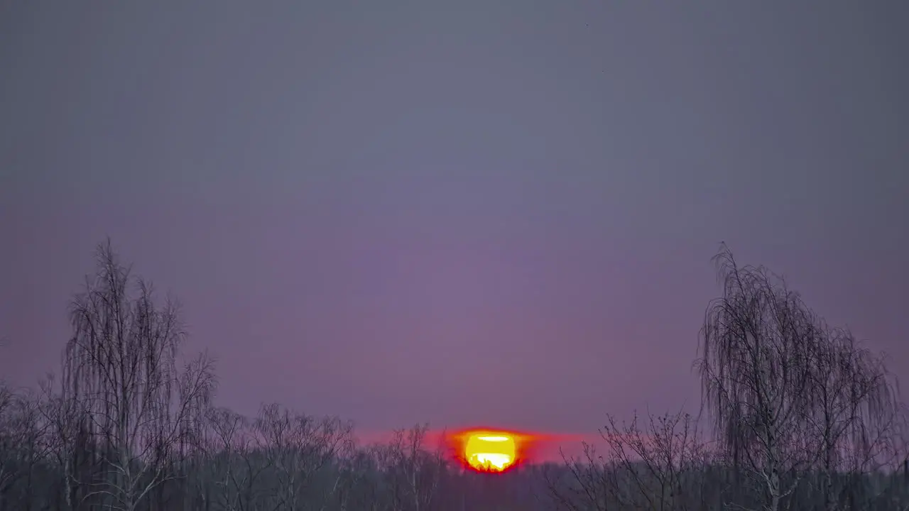 Timelapse shot of dark clouds passing by over white flowers in full bloom during early morning time over spring landscape