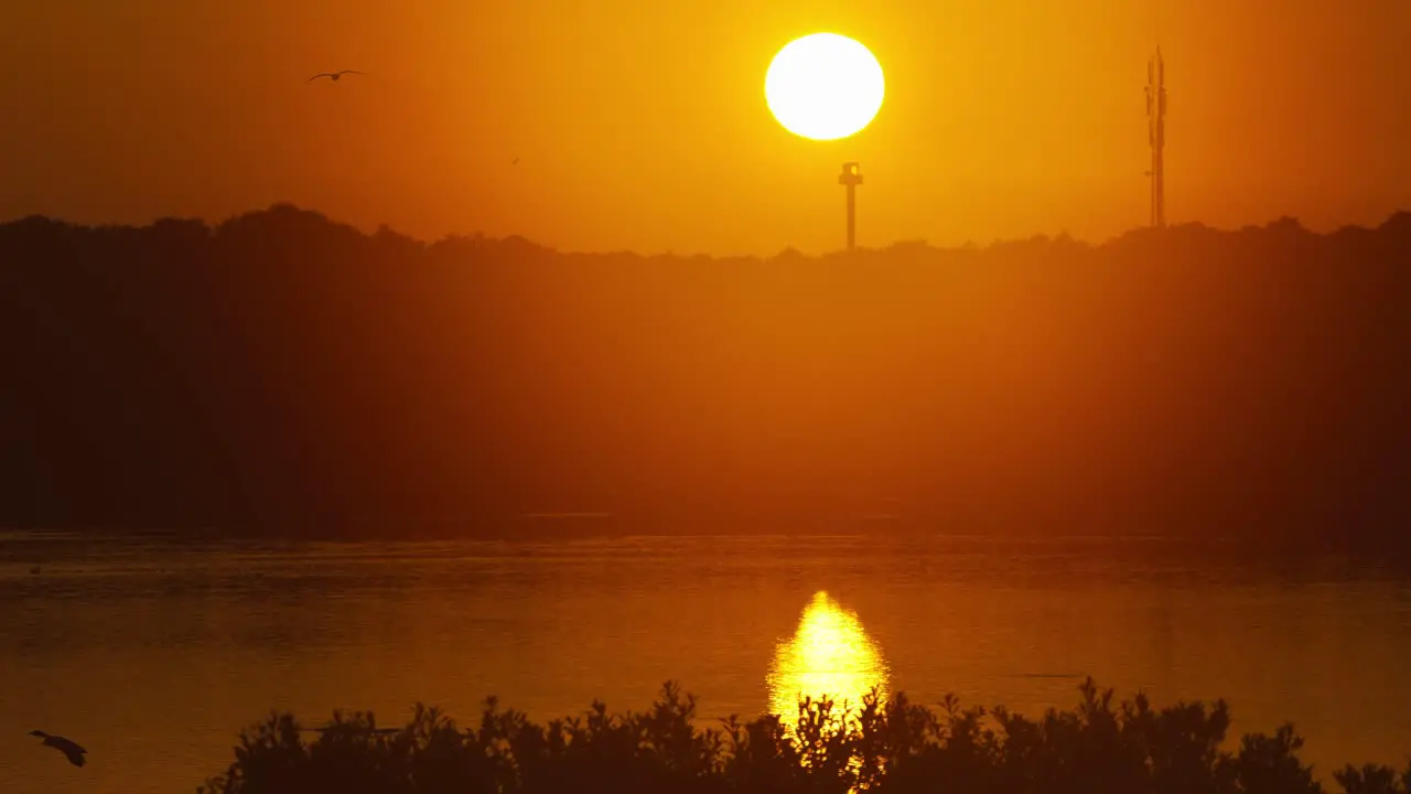 Red colorful sunset over Texel island coast with birds flying in orange sky Netherlands