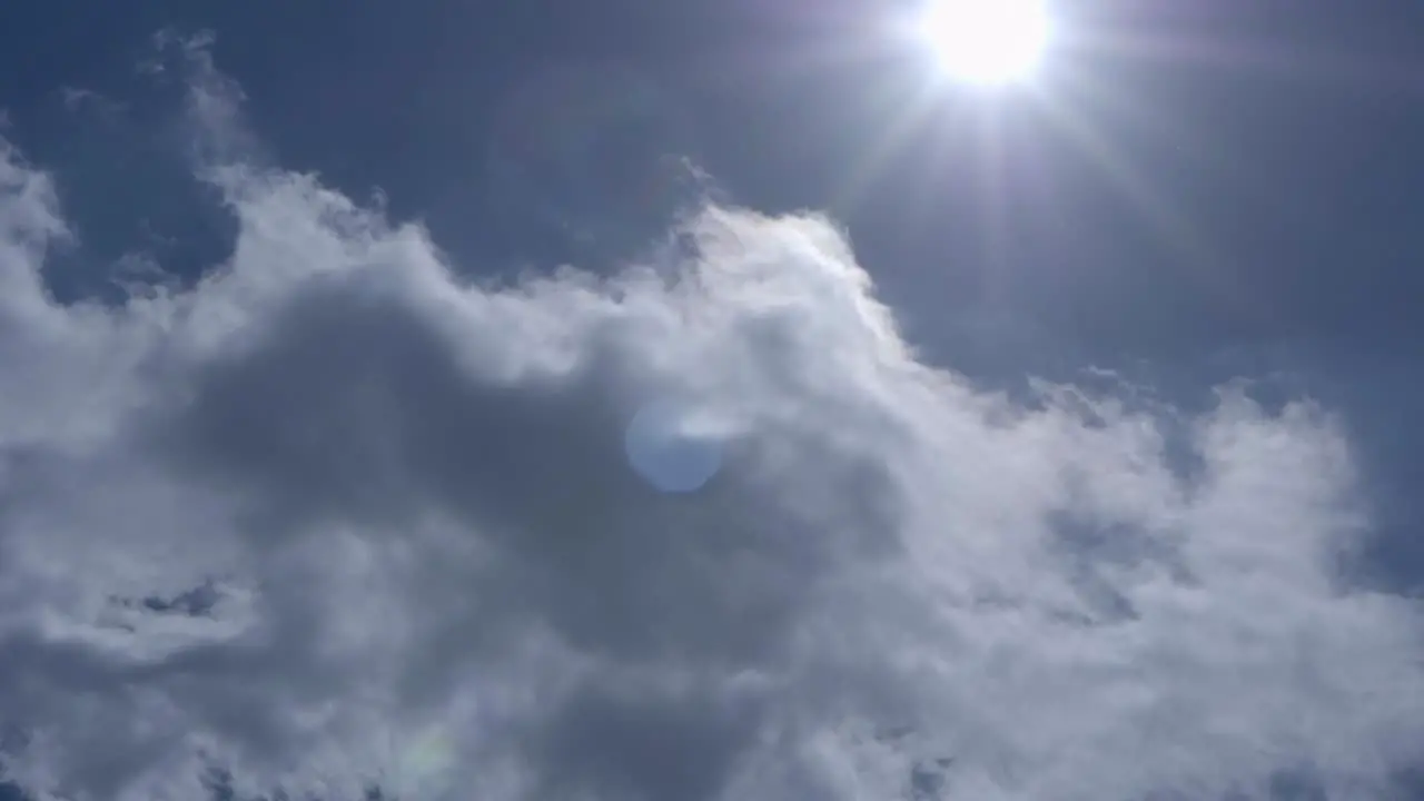 A bird flies through with harsh sunlight and clouds in the back slow motion