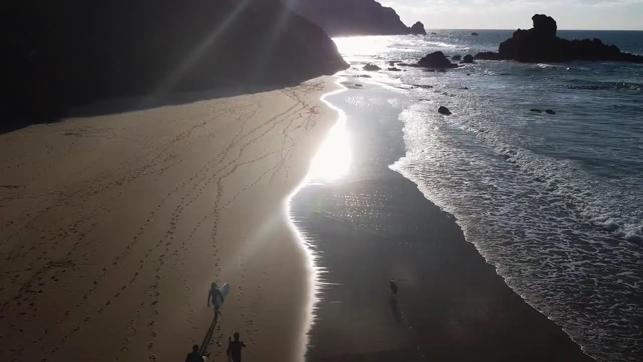 A group of surfers and a dog walking along the beach during the sunset in Algarve Portugal