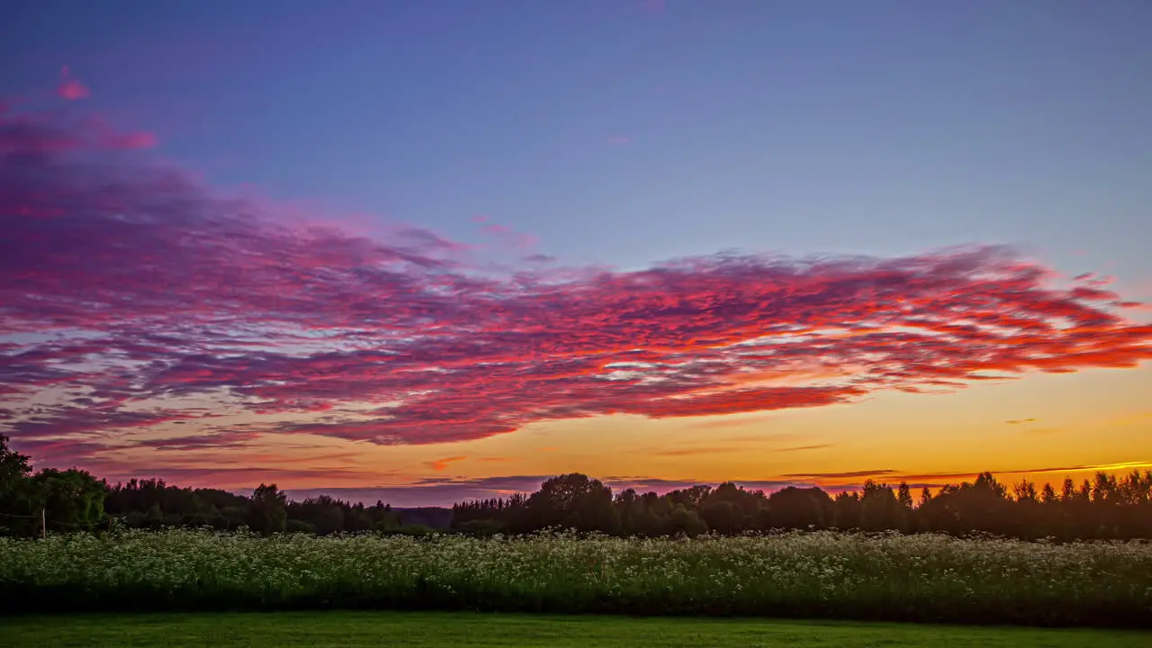 Colorful magenta sunset over a forest and field of wildflowers time lapse