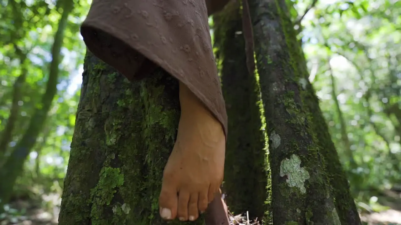 Female feet gently brushing against a tree in the heart of the jungle