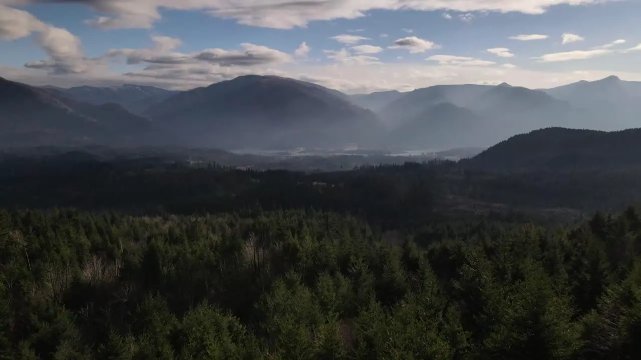 Aerial movement between two trees with the Columbia Gorge and forest in the background