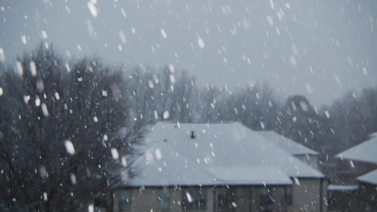 snowfall over a neighborhood with background trees