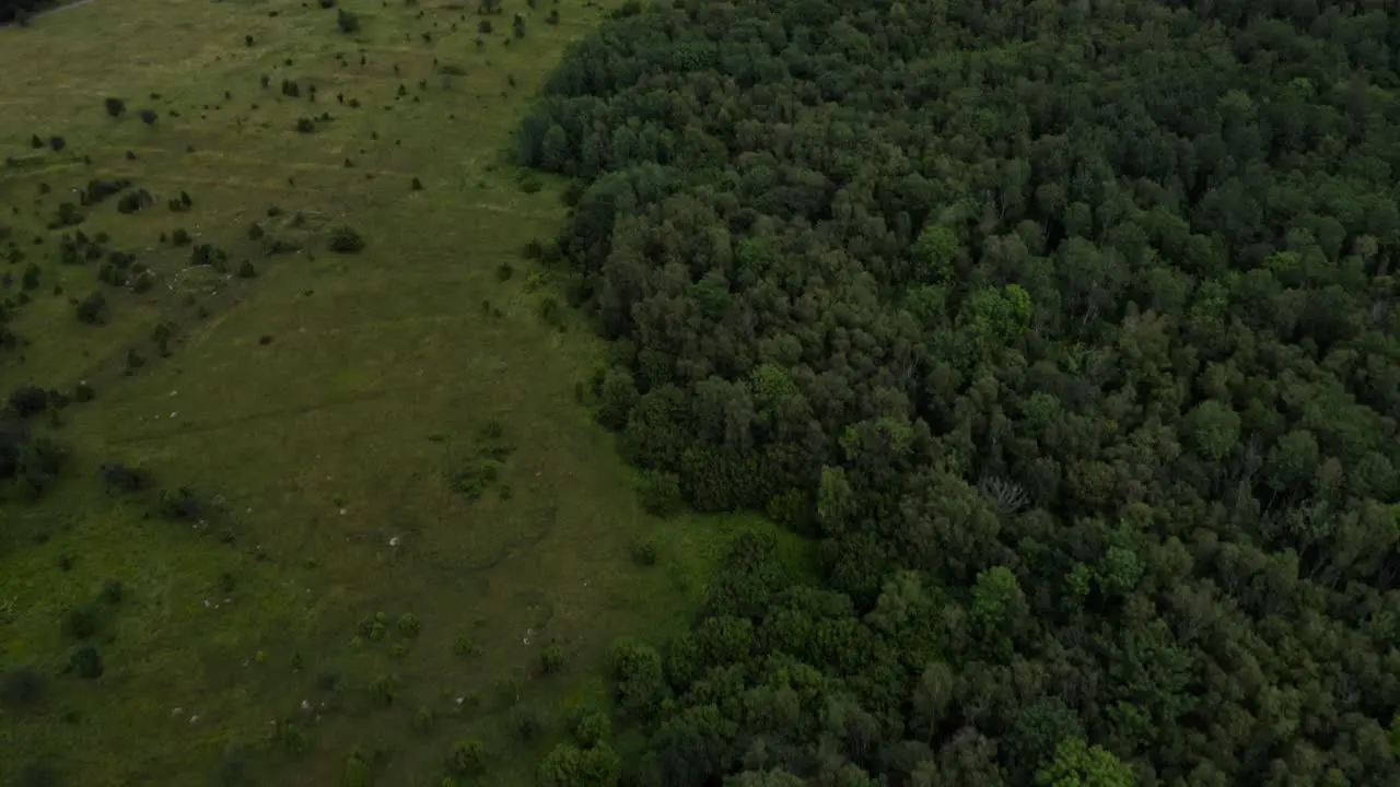 Aerial of green landscape tilting towards the horizon