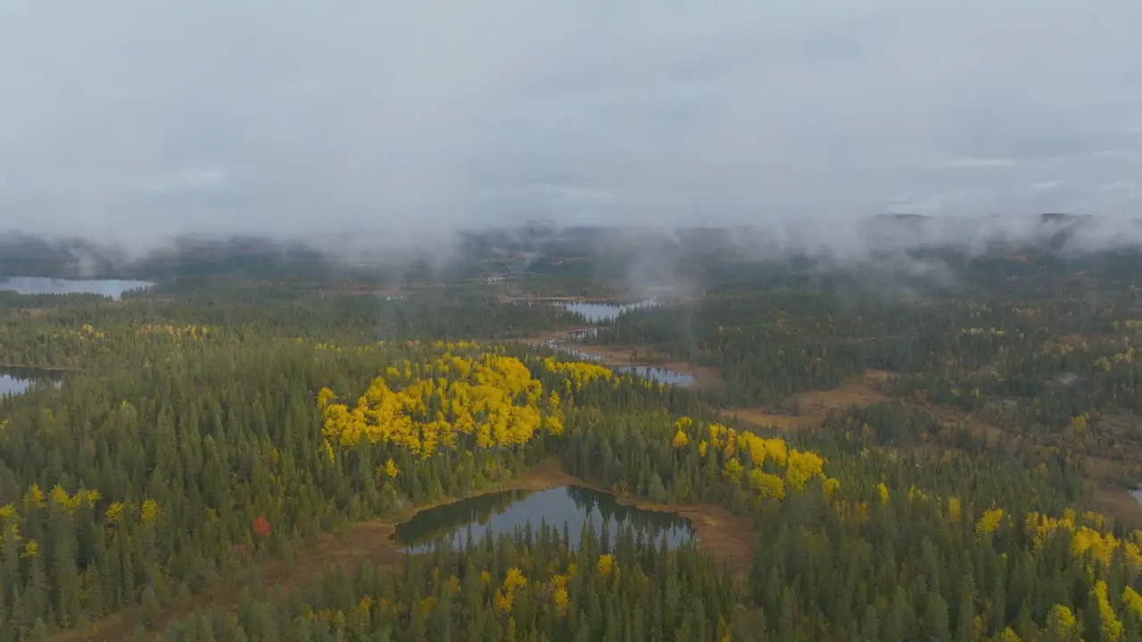 Drone shot in the cloudy forrest over a lake in Norway with autumn colors