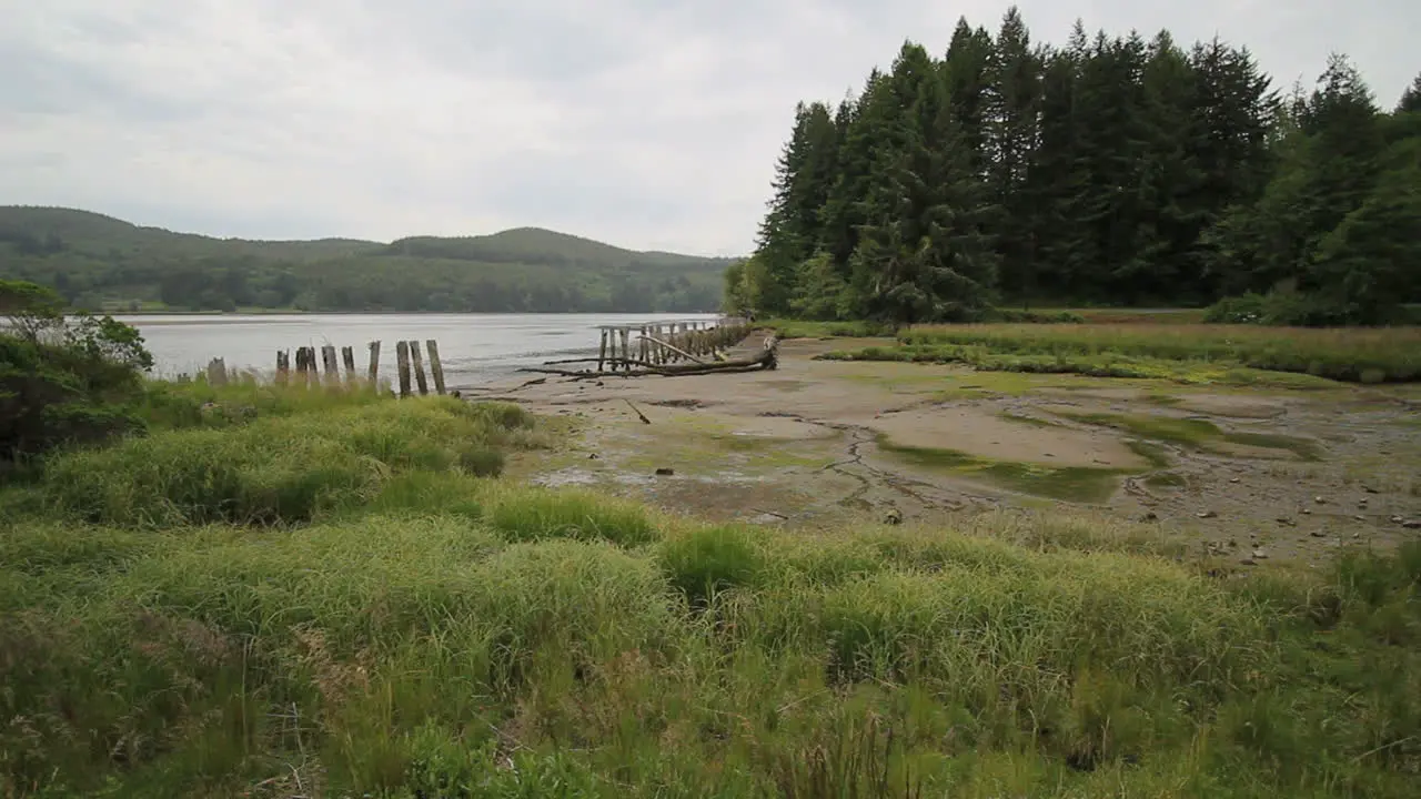 Oregon Yakina Bay low tide with bridge ruin