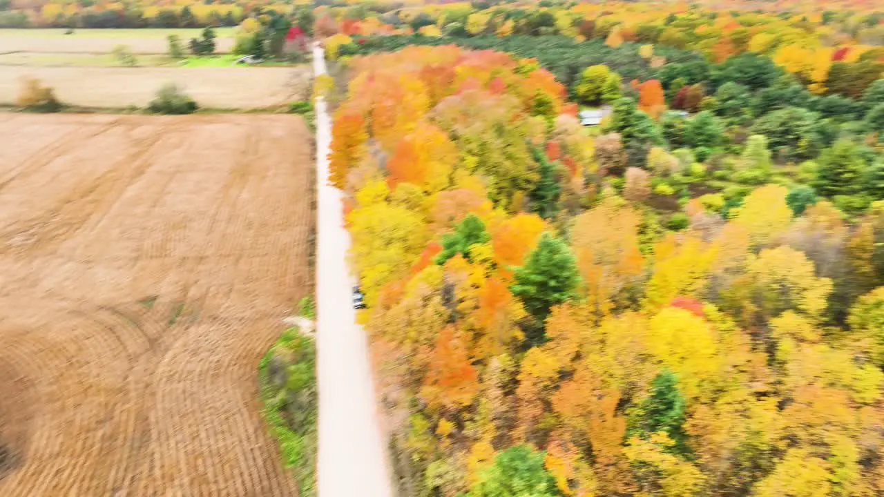 Panning from lush colorful trees to a road