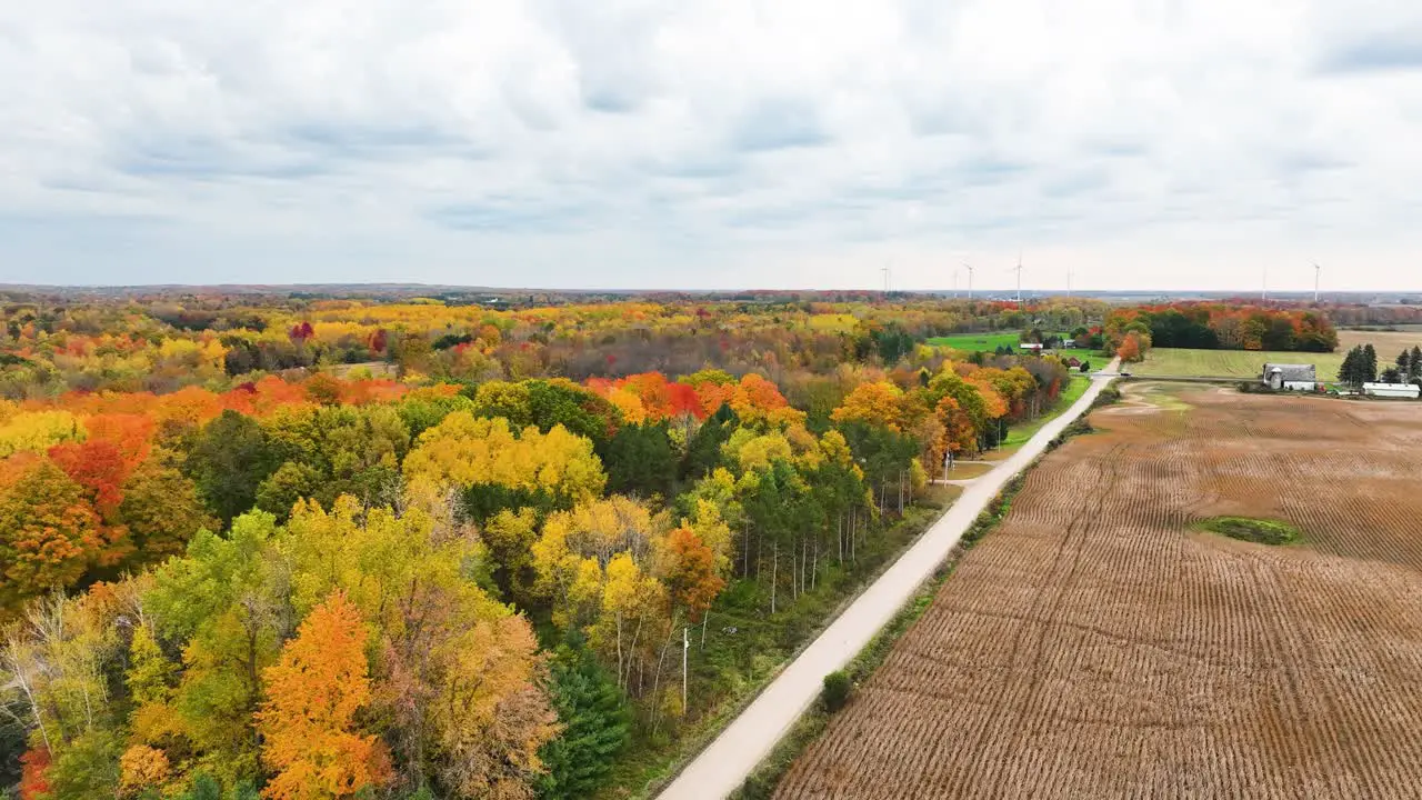 Colorful country Treeline in the middle of Autumn