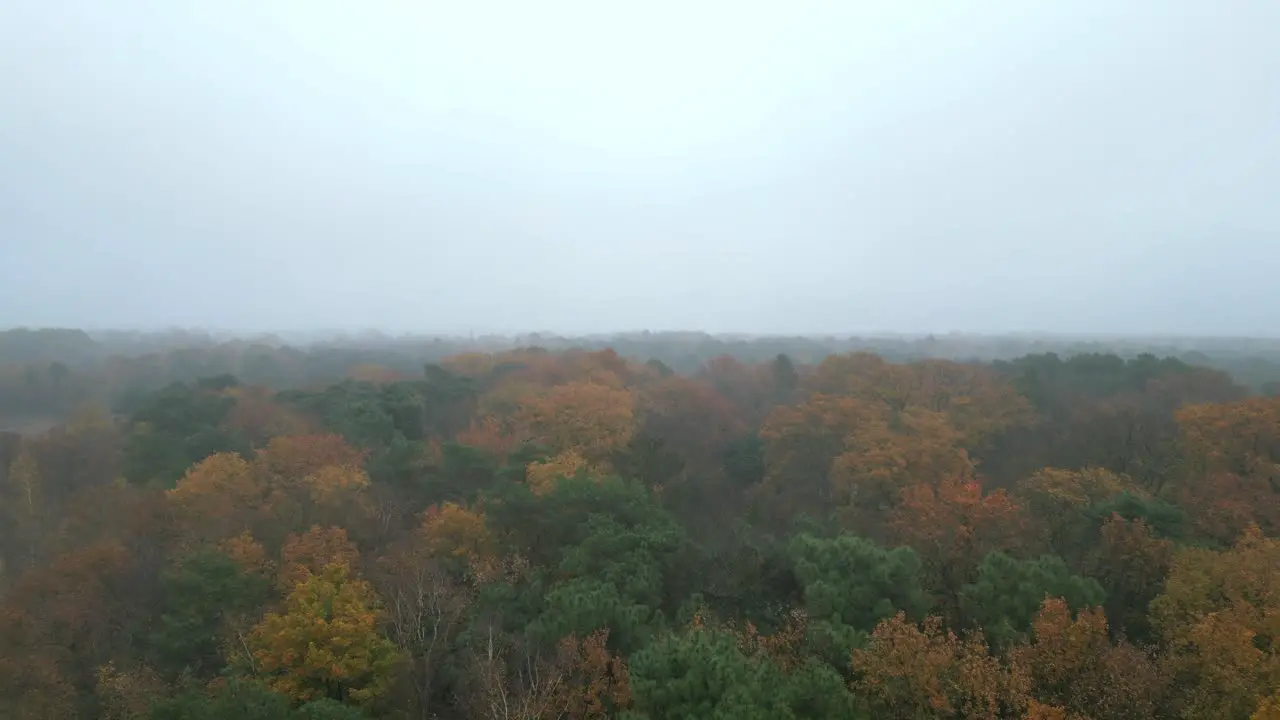 Aerial footage of autumn foliage in stunning hues of orange yellow and red on a cold and wet day