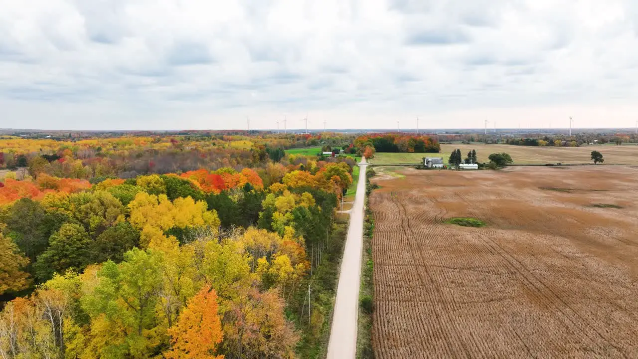 Autumn colors blossoming from trees in mid Michigan