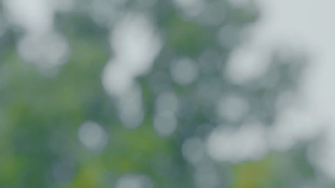 Abstract rain falling with trees in the background