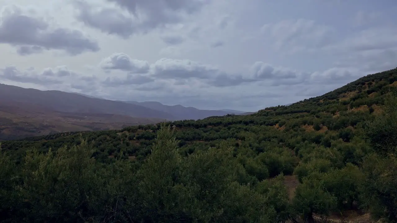 Timelapse of olive fields in Mancha Real Jaén Spain