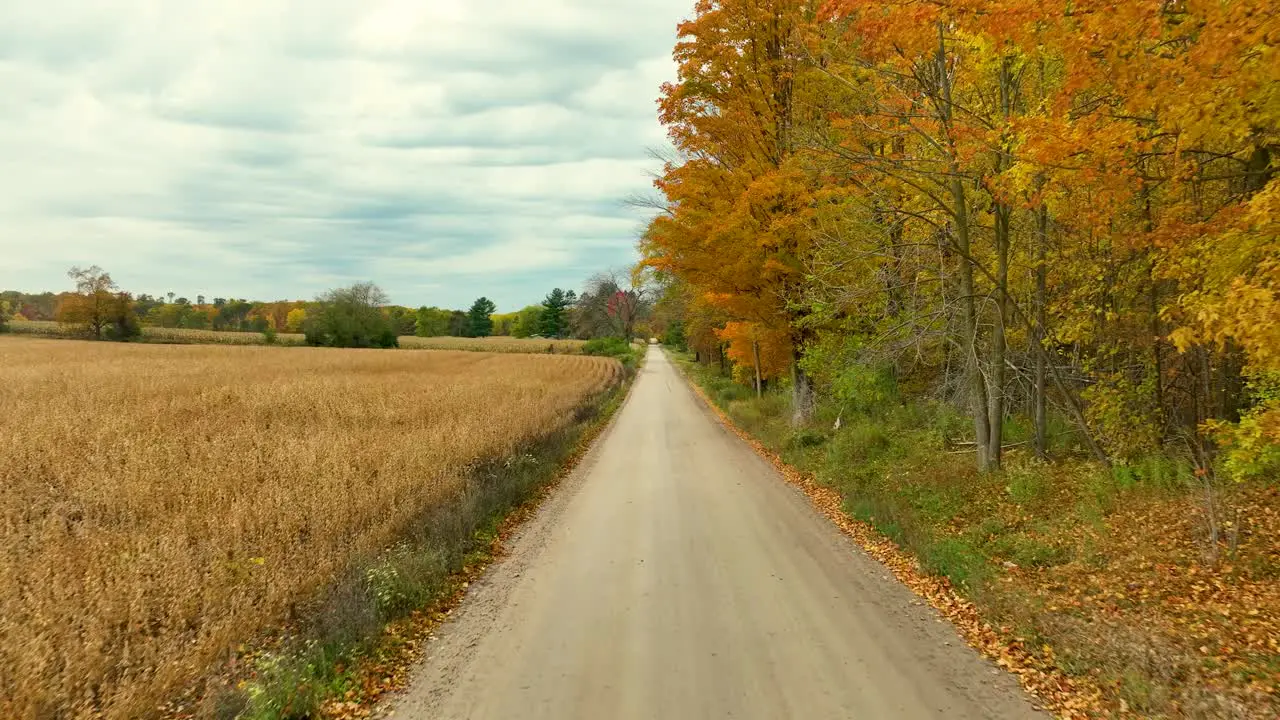 Tracking forward down a bumpy dirt road in fall