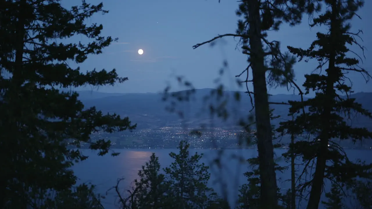 Night landscape looking down on town of West Kelowna and lake through trees