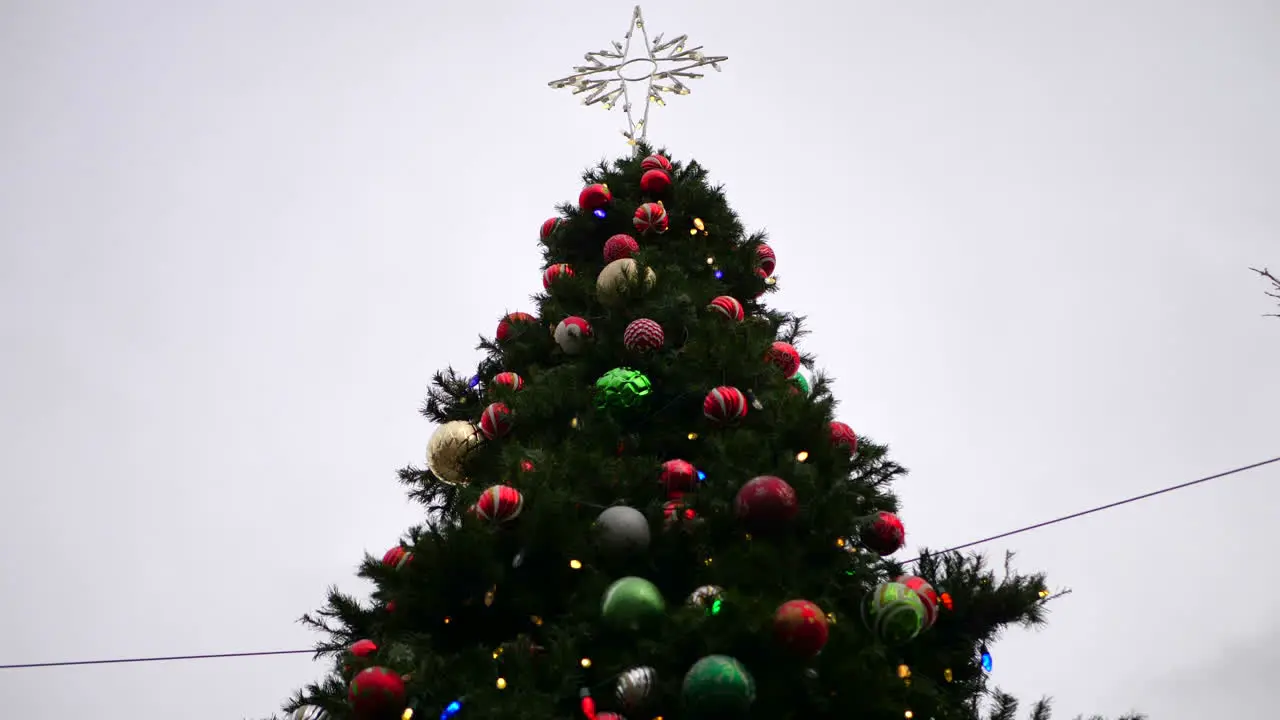 A huge tall Christmas tree background with a star on top and many festive holiday ornaments lights and decorations