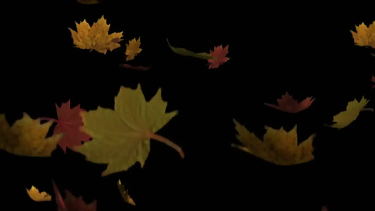 Animation of autumn leaves falling over black background