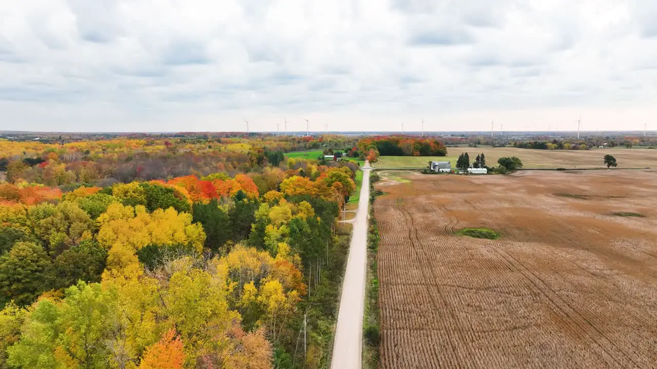 Tracking over a dirt road dividing an autumn forest and an empty field