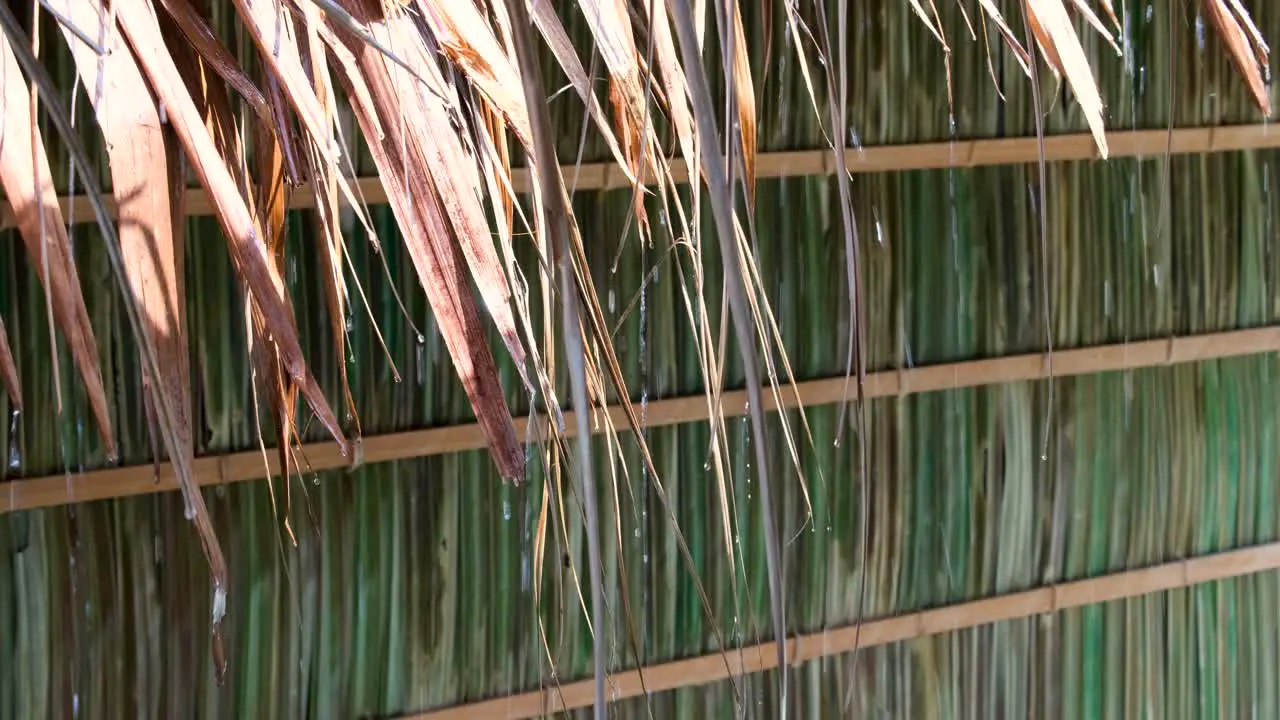 Heavy rain downpour with raindrops falling from traditional thatched roof on hut on a remote tropical island