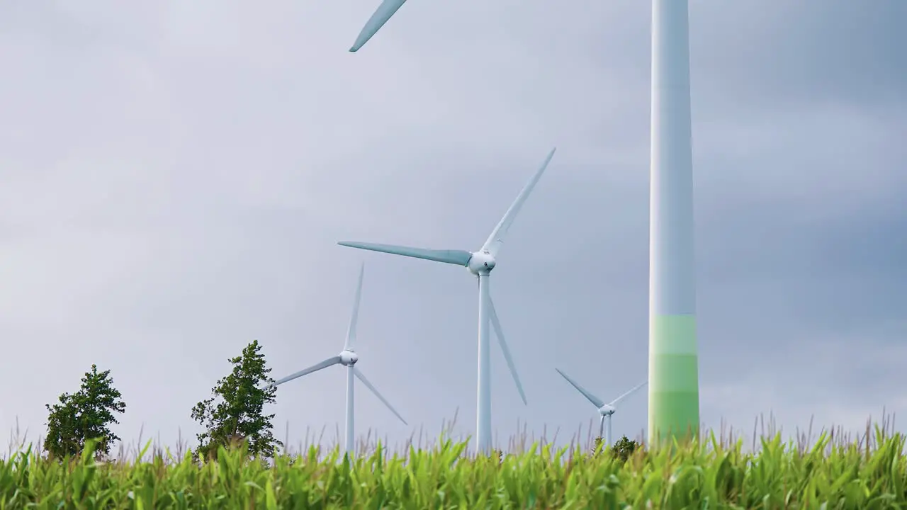 A row of slowly rotating wind turbines