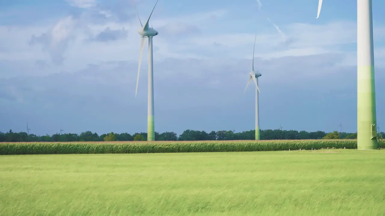 Strong wind sends waves over the lush green grass