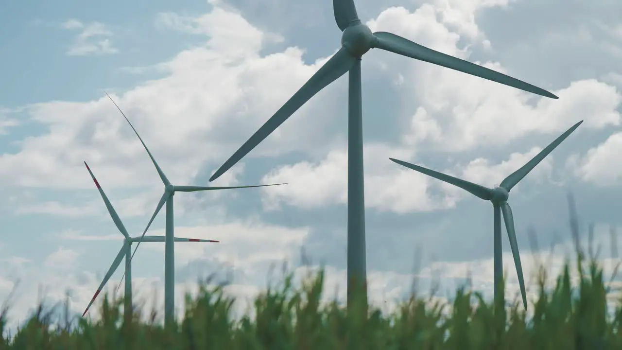 Slowly rotating wind turbines in the green field