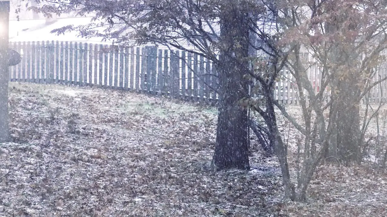 Snow white flurry in Muskegon during late fall