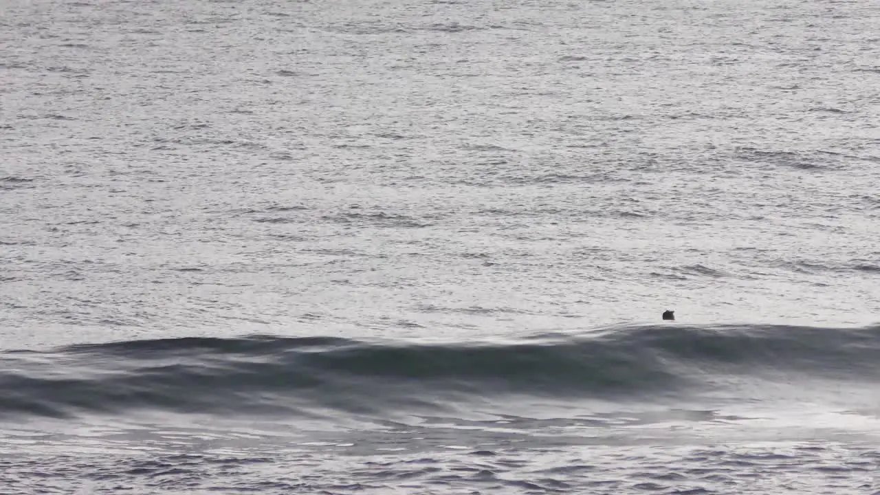 Surfer Waiting for Waves and Boat Going Past Wide Shot