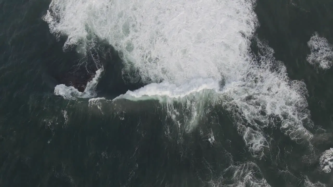 Bird's Eye View Of Bommie Waves Crashing On Rocks In Gordons Bay Wealthy Housing On Peninsula Of Coogee City Sydney NSW Australia