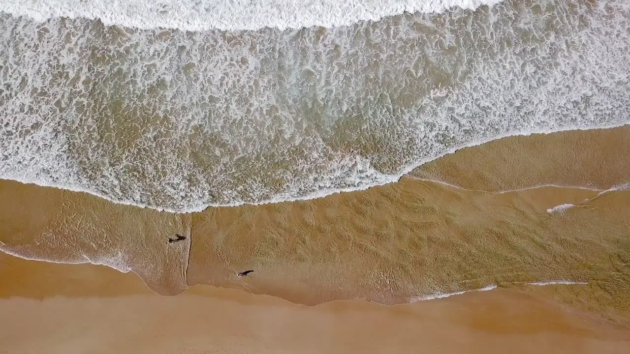 Waves crushing onto the beach Birdseye Australia