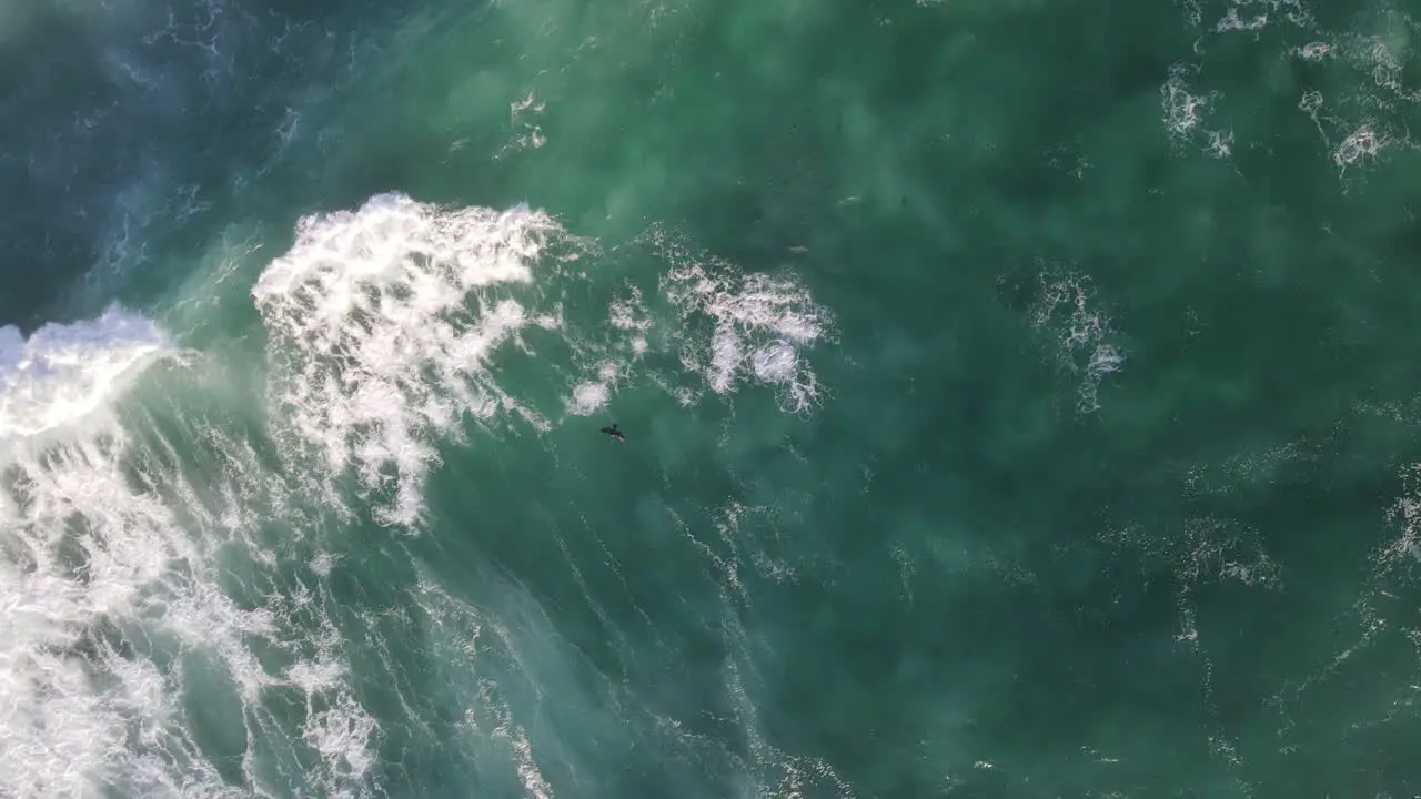 Top view of black bird flyover beautiful waves and soft foam texture in turquoise sea water at sunset