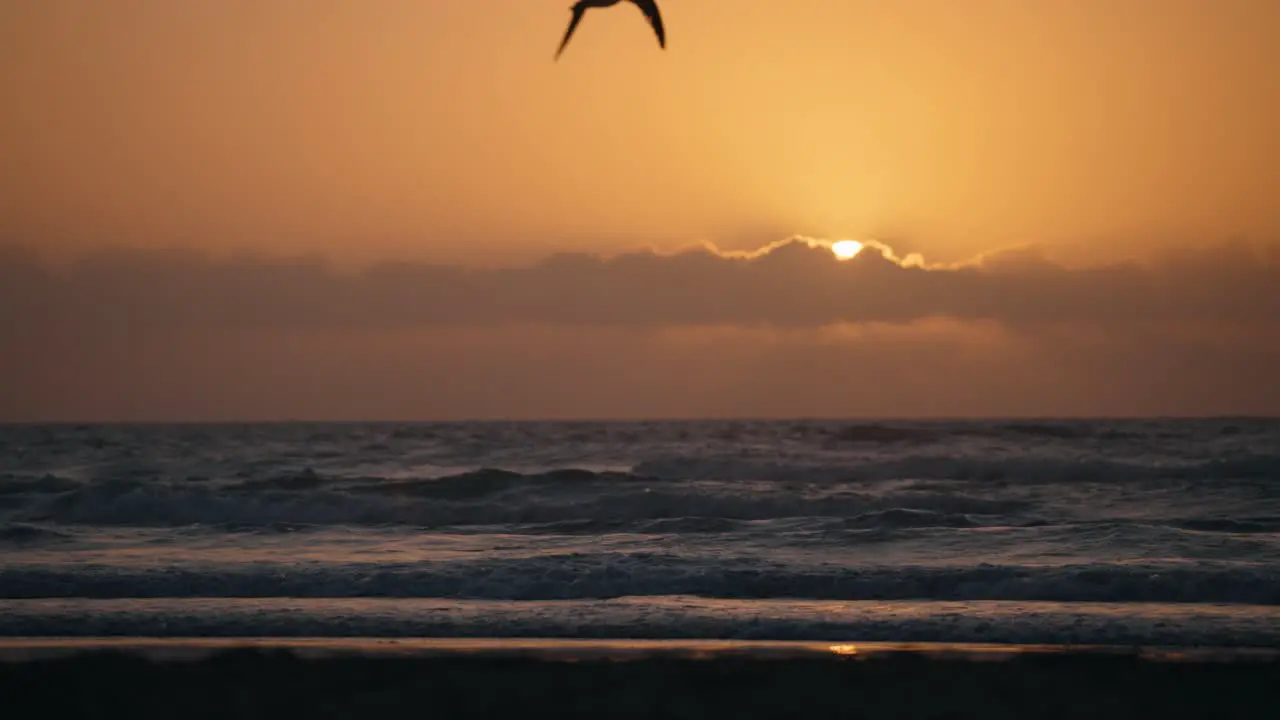 Silhouette of majestic ocean bird flapping wings in slow motion during perfect golden hour sunrise or sunset peaking behind clouds on the horizon with waves crashing in the background