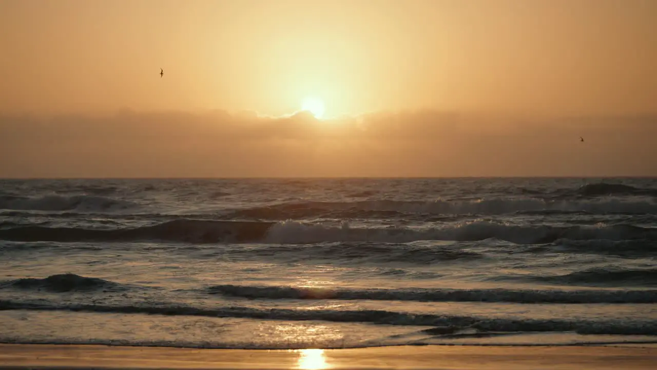 Sun peeking behind clouds as bird flys by golden hour sunrise or sunset on Texas beach with waves crashing onto shore