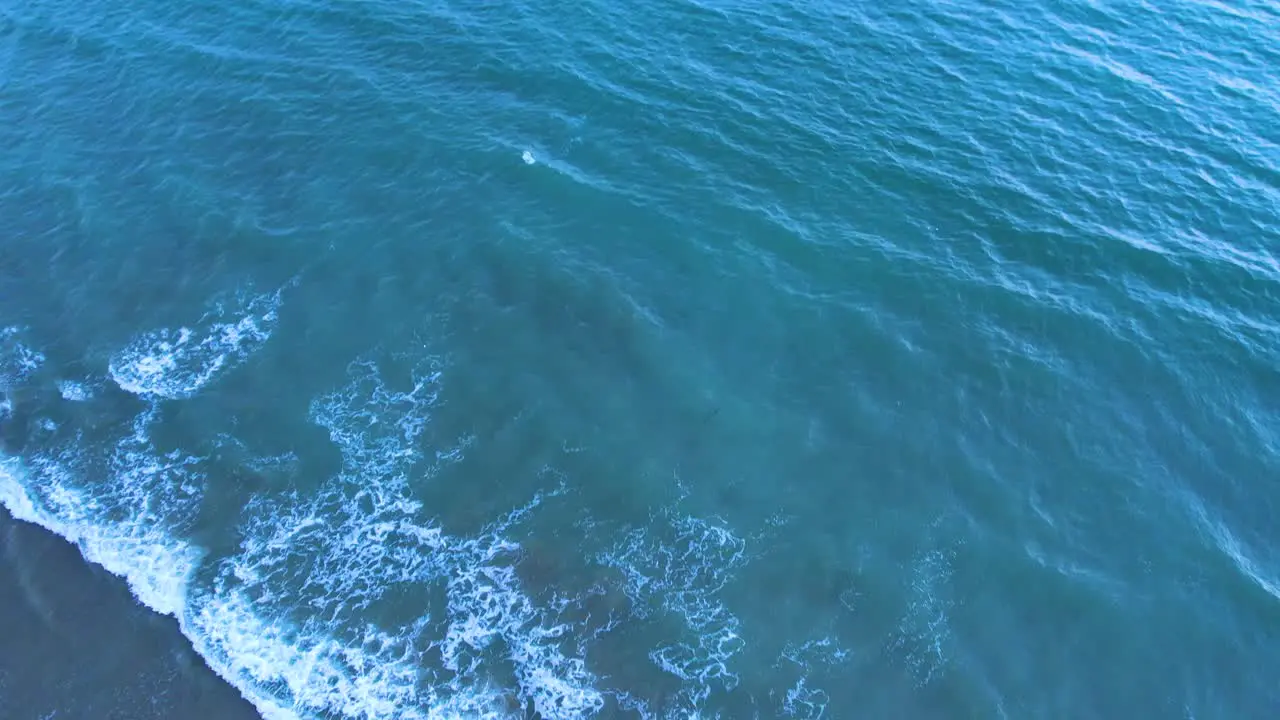 Aerial view of people by the shore and gentle sea waves crashing against the shore