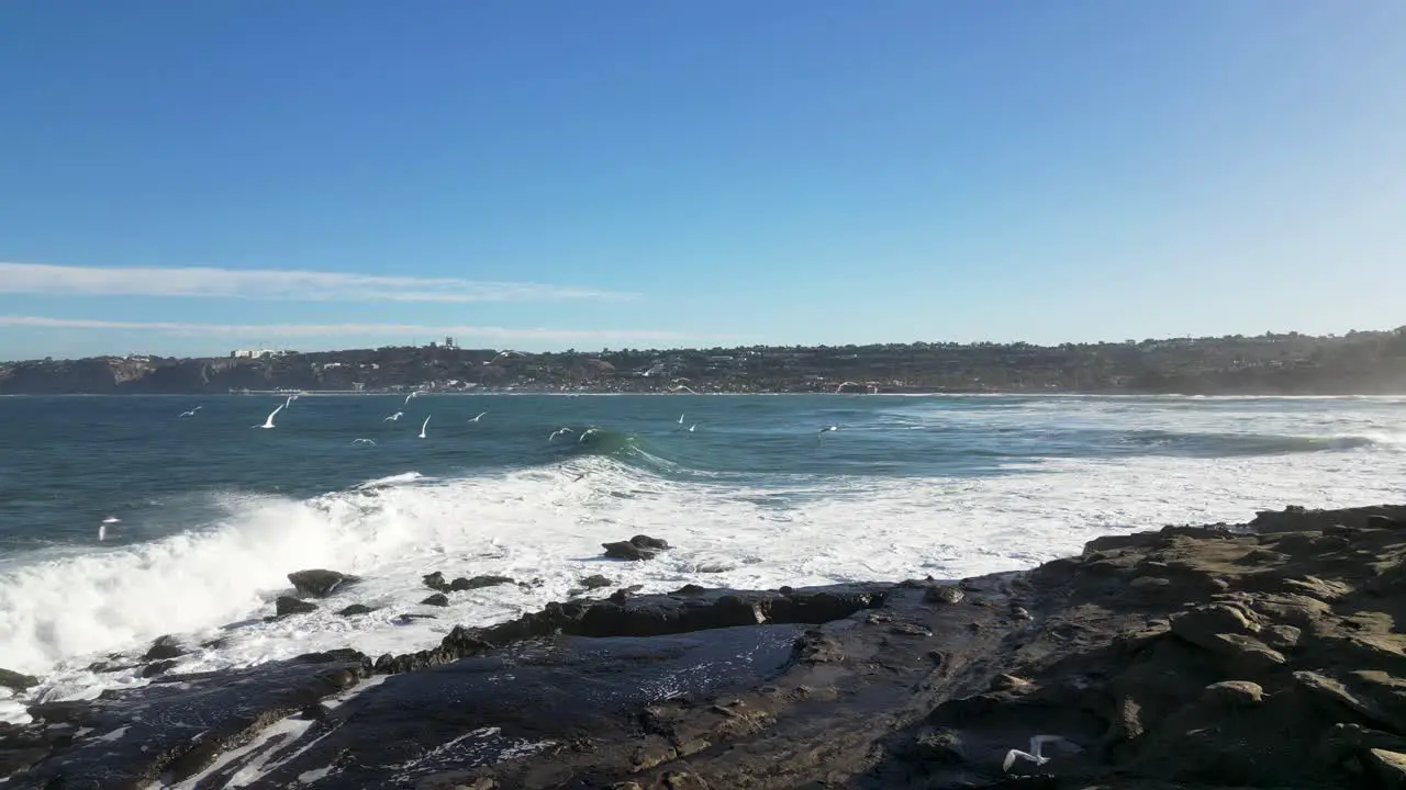 4K slow motion footage of large ocean waves crashing on cliffs at high tide in La Jolla Cove in San Diego California as white birds circle