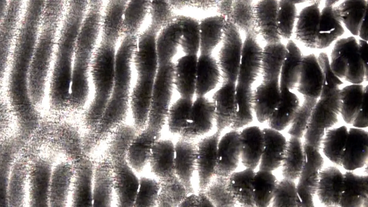 Oscillating serpentine and wave-train patterns in a liquid