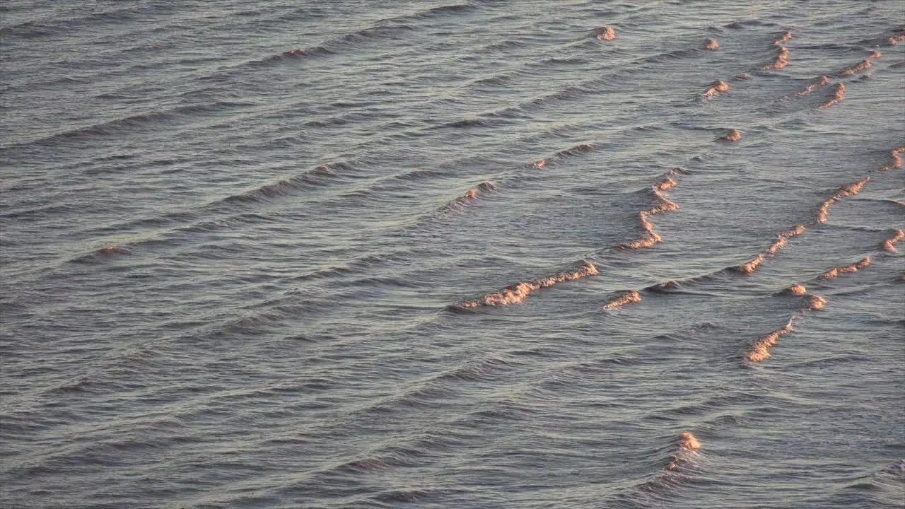 Nature Ripples In Evening Light