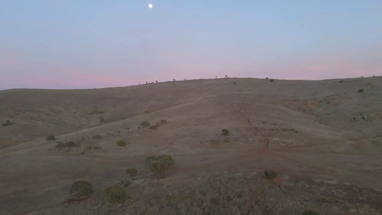 Aerial flying towards Appila Springs hills revealing Endless countryside landscape Sunset with moon