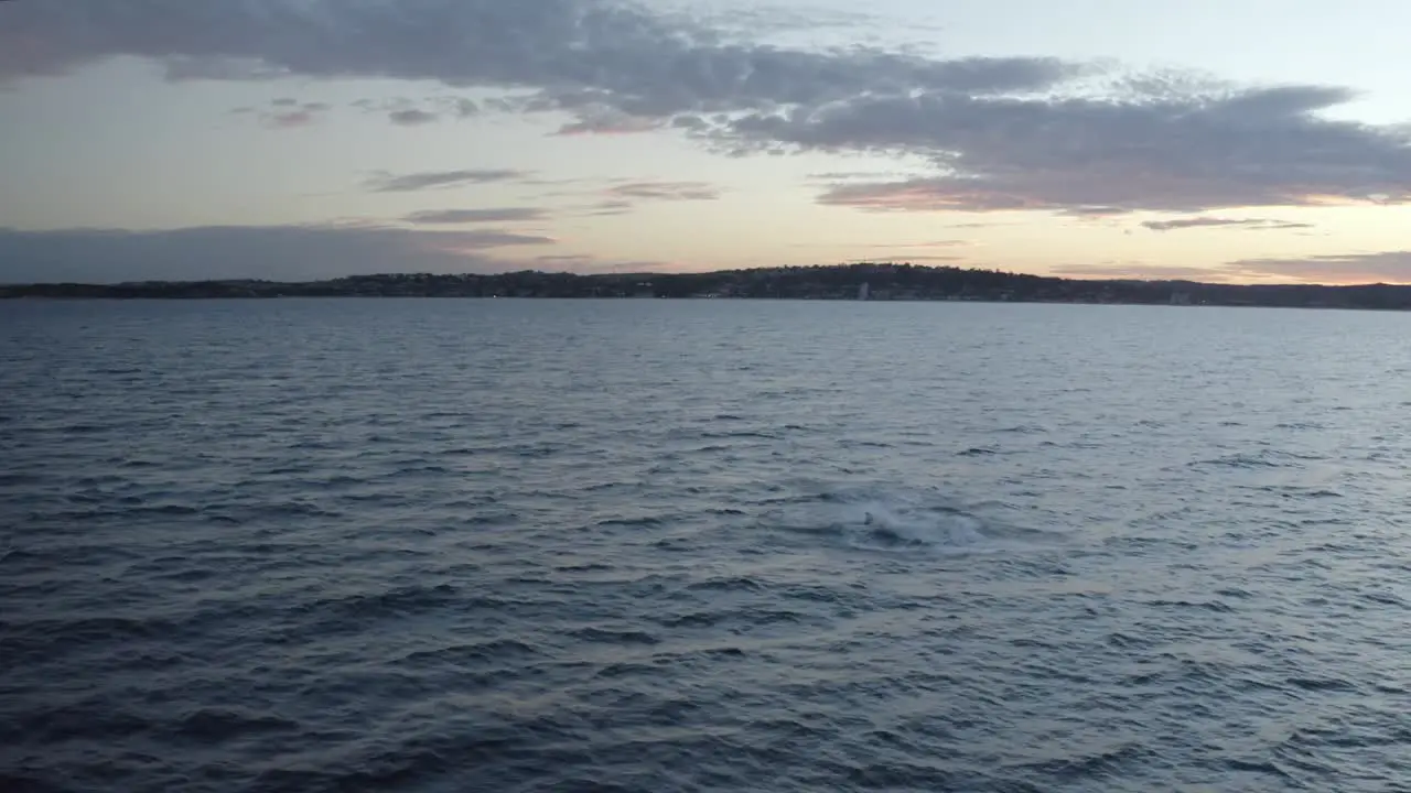 Whale watching off Sydney Northern Beaches Coastline during golden hour sunset Aerial drone footage of Humpback Whale breaching playing around during migration