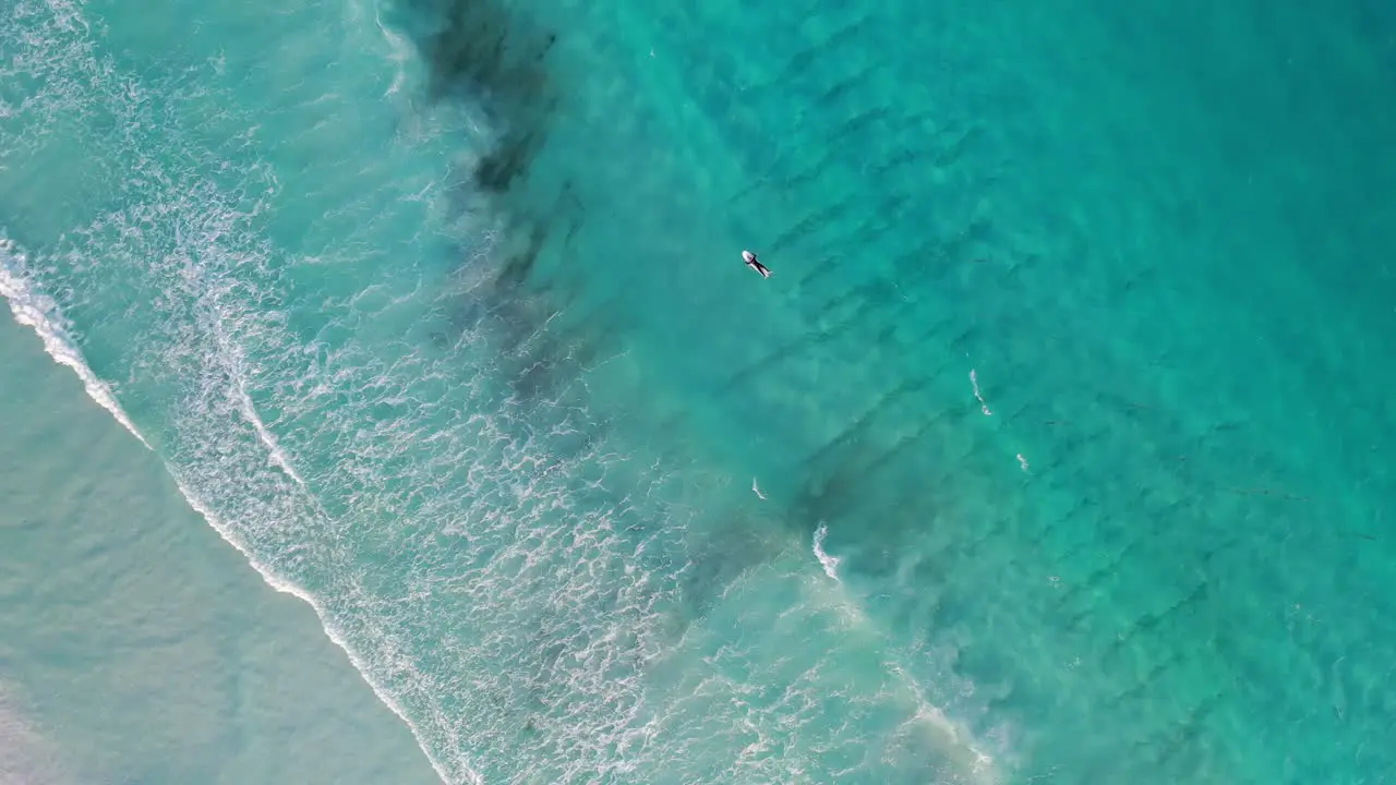 Lonely Surfer Waiting For Waves on Board in Turquoise Ocean Water Top Down Drone Aerial View