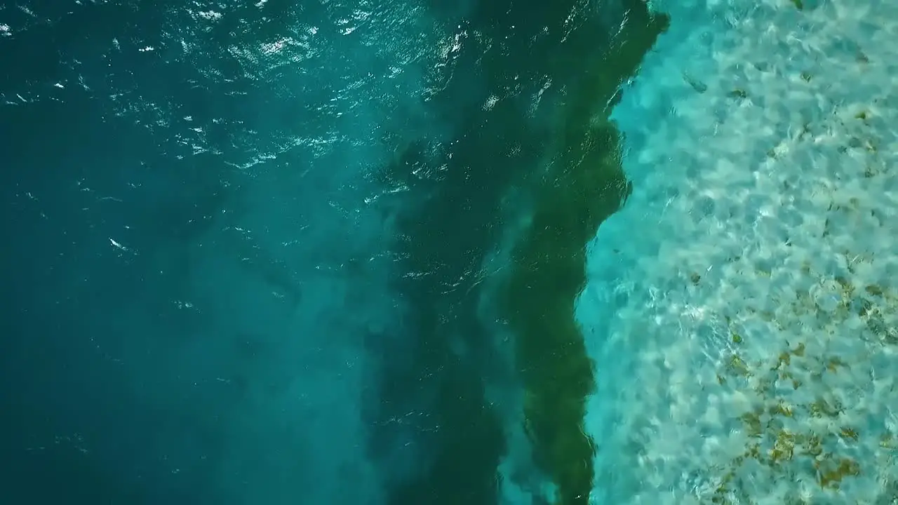 Drone footage flying over a clear Caribbean sea in Los Roques Venezuela