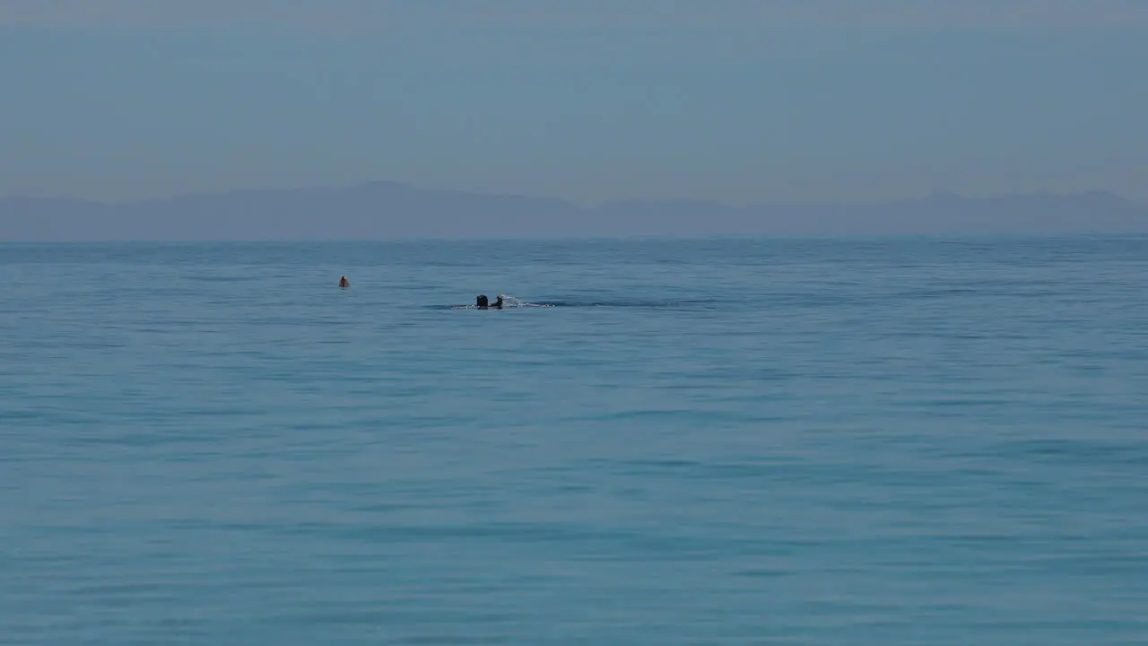 Swimming on quiet sea water isolated swimmer on blue seawater surface