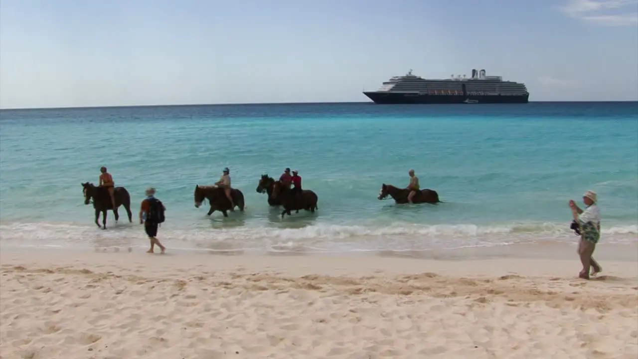 Horse ride in the turquoise waters of Caribbean sea Bahamas