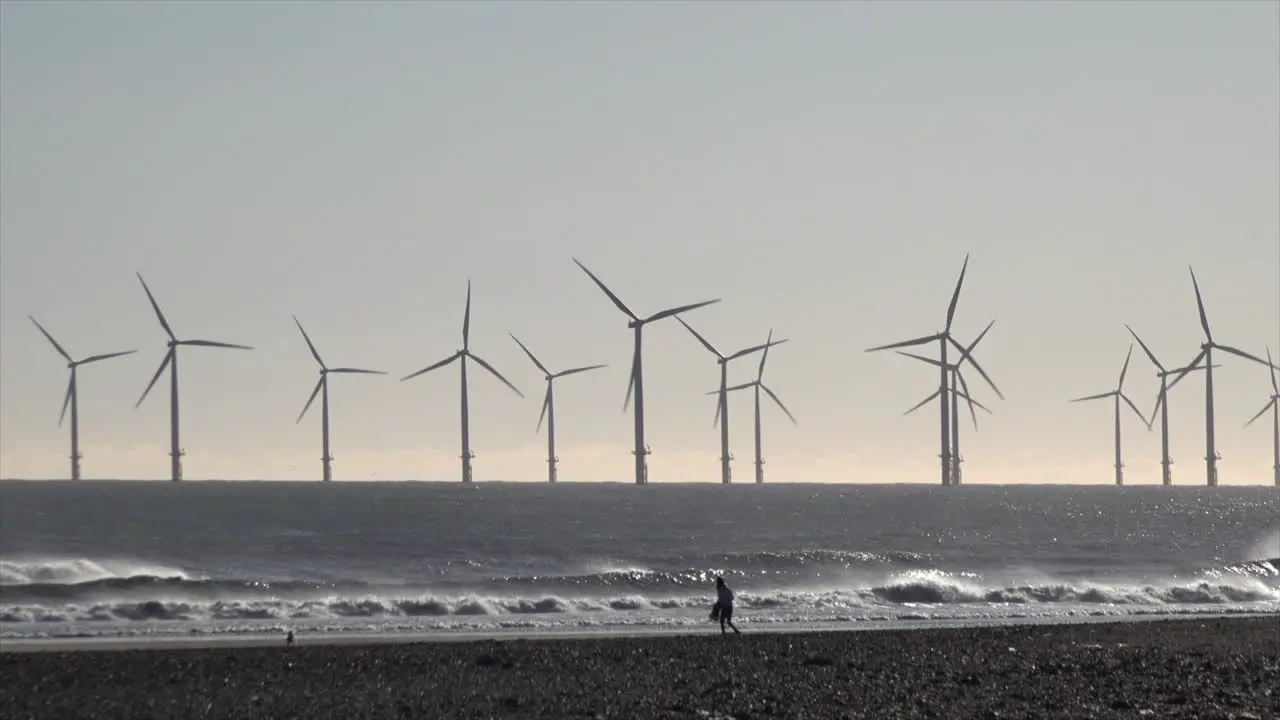 A person with a dog walks on beach in front of an offshore wind turbine farm off the coast of Hartlepool in the North Sea